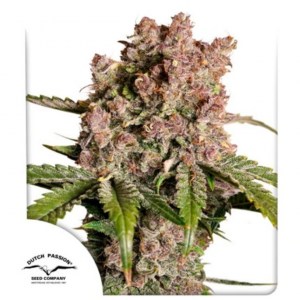 auto_strawberry_soda